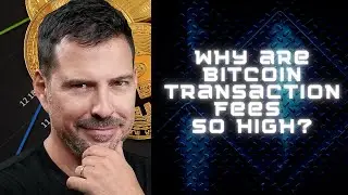 Why Are Bitcoin Transaction Fees So High? - George Levy
