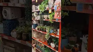 Australia&rsquo;s Cheapest Store Everyone&rsquo;s Talking About #viral #shopping #sydney #vlog #shorts #foryou