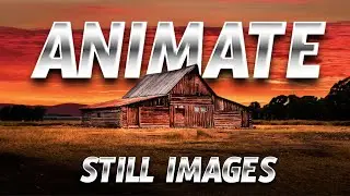 Turn Boring Images Into Awesome Videos With Canva & AI