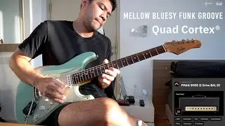Расслабленный блюзовый фанк-грув (Friedman Small Box50 Lead : QuadCortex) - Game Guitarist