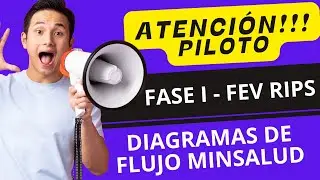 Fase I Piloto del Mecanismo FEV RIPS Notas Crédito y Notas Débito Minsalud Colombia