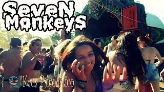 SEVEN MONKEYS Na Progressive Festival | Kaus Psicodélico
