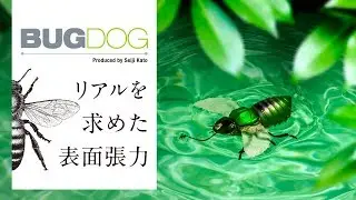 【バス釣り】リアルを求めた表面張力。&ldquo;BUGDOG&ldquo; PV (バグドッグ) / 加藤誠司 秦拓馬 | ジャッカル