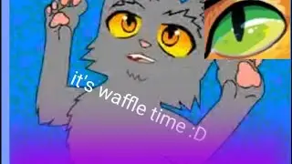 Waffle time!
