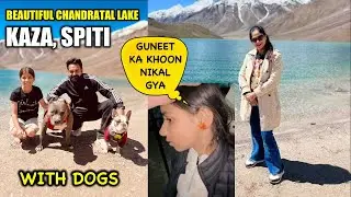 GUNEET Ko Chot Lag Gyi 😱 | BEAUTIFUL CHANDRA TAL LAKE with DOGS | KAZA Ep.19 SPITI TRIP by Fortuner