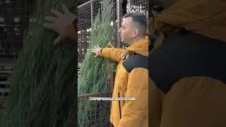 Продолжаем копать и отгружать!