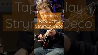Delay on Mandolin - Strymon Deco Tape Delay #mandolin #bluegrass #improvisation #guitarpedals