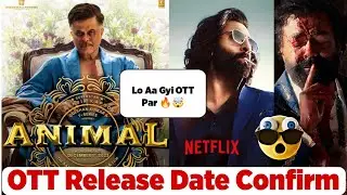 Animal Ott Release Date | Animal Ott Update | Animal Ott Per Kab Aayegi | Animal Ott Platform Update