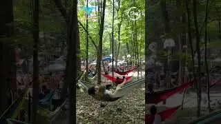 Hammock Hangs Gone WILD! Backwoods Stage at Blue Ox Music Festival