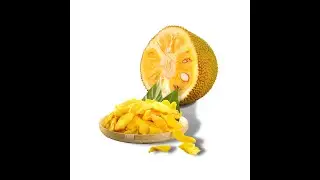 Wholesale Bulk Dried Jackfruit Low Sugar Less Sweet Competitive Price Fast Delivery