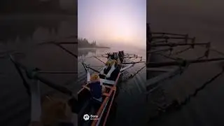 This is Crazy 🤯 #cat #boat