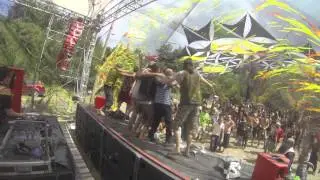 BASIC end of set @ Tree OF Life 2014