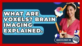 What Are Voxels? Brain Imaging Explained. - Brain Development Hub