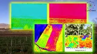 Agricultura de Precisi&oacute;n con Drones