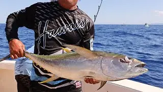 Welcome to Reel Addiction III - fishing charter, O'ahu