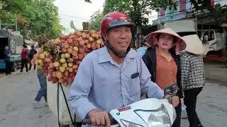 Cập nhật giá vải hôm nay 5/6/2025 tại biên Sơn, kép hồng giang Lục Ngạn BG