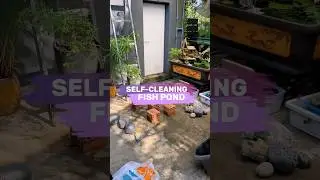 Genius DIY Pond Stays Crystal Clear Forever! #shorts (@quangnuoica)