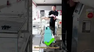 Check Weigher for Chewing gum, #checkweigher#weighingmachine#manufacturer# factory# packagingmachine