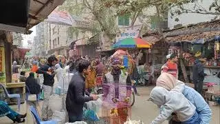 মিরপুর ১ পাখির হাট #brothersbirdsshop #birds #Real #viralvideoシ #viralpost2025 #fypageシ #followers