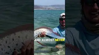 This &ldquo;Sea Monster&rdquo; Is Actually Real 😨