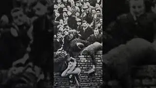 navijači zvezde beže jure ih nepobedivi grobari 1959. #jazz #guitar #artist #argentina