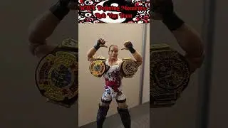 WWE Defining Moments: Rob Van Dam figure #wrestling #wwe #ecw