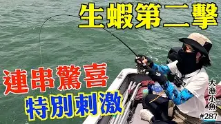 夏天釣生蝦 連環驚喜大放送 刺激┃大漁小魚#287┃中文字幕