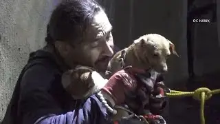 Dog missing after being swept away amid California storm