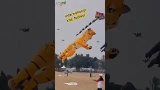 international kite festival in hyderabad #kite #kiteflying #kitty #kitefestival#kittys