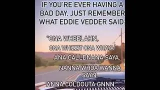 Bad Day?! Words of Wisdom from Eddie Vedder & Pearl Jam 🤘 #shorts #funny #music #rock