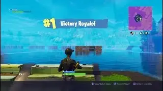 11 kill victory royale
