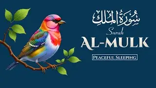 Surah Mulk (Full) | Peaceful & Soothing Recitation | Quran