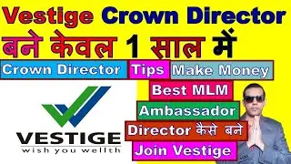 Became Vestige Crown Director In 1 Year | What Is The Rank Of Vestige | How To Join Vestige | MLM
