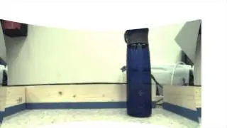 Automated Barrel Distortion Correction