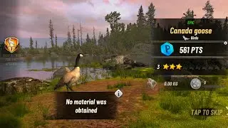 Hunting Clash-- Goose in Minnesota @NGGHOST.