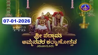 Sri Padmavathi Ammavari Kalyanotsavam || Tiruchanoor || 07-01-2026 || SVBC3 Kannada || SVBC TTD