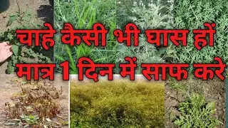 सबसे अच्छे खरपतवार नाशक(घास मारने की दवा)best weed killer in india (किसी भी फसल में डालने से बचे)