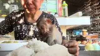 Today Mary is very hungry because Mommy was busy #mary #monkey #animals