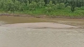 Rio Tarauac&aacute; Esta Raso|Sales Mateus News