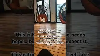 Вы давно не слышали хороших новостей 😮&zwj;💨&hellip;.Это для вас 🙏