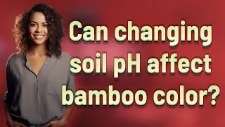 Can changing soil pH affect bamboo color?