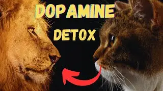 Dopamine Detox in Hindi | Book Summary ( Hindi ) [ Eng subtitles ]