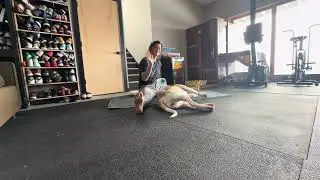 Follow Along At Home Workout: Core Focused 