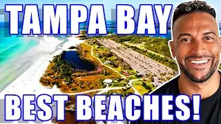 DISCOVER TAMPA BAY'S BEST BEACHES: Uncovering The Hidden Gems Of Tampa Bay FL | Living In Tampa FL