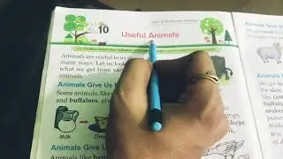 EVS CHAPTER 10 USEFUL ANIMALS(Reading)