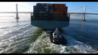 Harbour Bridge and The Backwards Tug