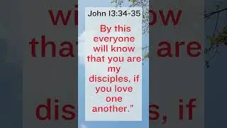Bible Verse | John 13:34-35 (NIV)