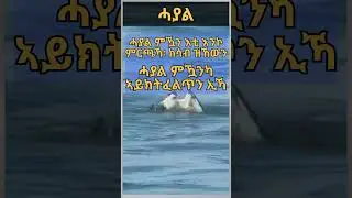 Eritrean 2023 #eritrea #shorts