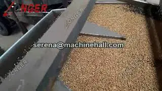 How do machines crack and shell sunflower seeds? - Sunflower Seed Cracking Machine