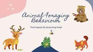 Animal Foraging Behaviour: Techniques for Acquiring Food